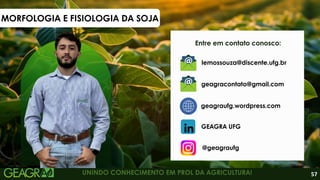 Entre em contato conosco:
UNINDO CONHECIMENTO EM PROL DA AGRICULTURA!
geagraufg.wordpress.com
geagracontato@gmail.com
GEAGRA UFG
@geagraufg
lemossouza@discente.ufg.br
MORFOLOGIA E FISIOLOGIA DA SOJA
57
 