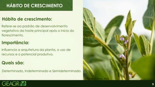 9
Hábito de crescimento:
Refere-se ao padrão de desenvolvimento
vegetativo da haste principal após o início do
florescimento.
Influencia a arquitetura da planta, o uso de
recursos e o potencial produtivo.
Determinado, Indeterminado e Semideterminado.
Importância:
Quais são:
Fonte: Canva, 2026.
HÁBITO DE CRESCIMENTO
 