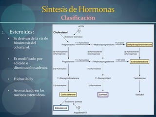 Fisiologia endocrina | PDF
