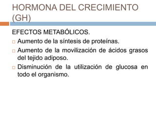 HORMONA DEL CRECIMIENTO
(GH)
EFECTOS METABÓLICOS.
 Aumento de la síntesis de proteínas.

 Aumento de la movilización de ácidos grasos

  del tejido adiposo.
 Disminución de la utilización de glucosa en

  todo el organismo.
 