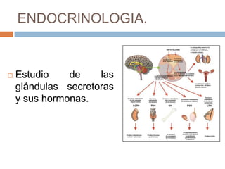 ENDOCRINOLOGIA.


   Estudio    de    las
    glándulas secretoras
    y sus hormonas.
 