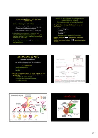 ESTRUTURA QUÍMICA E SÍNTESE DOS                        SECREÇÃO, TRANSPORTE E DEPURAÇÃO DOS
                  HORMÔNIOS                                             HORMÔNIOS NO SANGUE
                                                                 Controle da secreção hormonal por Feedback
 • Existem 3 classes gerais de hormônios
                                                          - A regulação dos hormônios por feedback pode ocorrer em
                                                            diversos níveis:
      1- proteínas e polipeptídeos: insulina e glucagon
      2- esteróides: cortisol e aldosterona                         - transcrição gênica
      3- derivados da tirosina: T3 ,T4 e epinefrina                 - tradução
                                                                    - processamento
   Os hormônios polipeptídicos e proteicos são                      - liberação
   armazenados em vesículas secretórias        são
                                                                   TRANSPORTE DOS HORMÔNIOS NO SANGUE
   liberados por EXOCITOSE mediante estímulo que
   pode ser Ca ²+ ou AMPc                                 - hormônios peptídicos           hidrossolúveis: dissolvidos no
                                                             plasma
                                                          - hormônios esteróides e tireóideos         lipossolúveis: ligados a
   Os hormônios esteróides NÃO são armazenados               proteínas
   são lipossolúveis




           MECANISMO DE AÇÃO
               Como agem os hormônios?

       Nos receptores específicos das células-alvo

                    LOCALIZAÇÃO
       - membrana plasmática
       - citoplasma
       - núcleo

 SINALIZAÇÃO INTRACELULAR APÓS ATIVAÇÃO DO
   RECEPTOR
      - abertura de canais iônicos
      - ativação de enzimas intracelulares
      - ativação de genes




                                                                                HIPÓFISE
HORMÔNIOS DA HIPÓFISE




                                                                                                                                 2
 