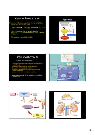 REGULAÇÃO DE T3 E T4
                                                                FEEDBACK
Mecanismos de feedback específicos através do hipotálamo e    HIPOTÁLAMO
 hipófise para controlar a tireóide
                                                                 TRH


     TSH                 tireóide                   T3 e T4
                                                               HIPÓFISE
•   TSH (tireotropina) atua por receptor que ativa
                                                                 TSH
    ADENILATO CICLASE para formação de AMPc, o segundo
    mensageiro.
                                                                           T3 e T4

• TSH aumenta a secreção da Tireóide                           TIREÓIDE




            REGULAÇÃO DE T3 e T4
            Efeitos sobre a glândula

     1. aumento da proteólise da tireoglobulina armazenada
      nos folículos
     2. aumento da atividade da bomba de iodeto
     3. aumento da iodetação da tirosina
     4. aumento de tamanho e atividade secretora das
      células tireóideas
     5. aumento do número de células tireóideas

    Tempo de liberação do hormônio na circulação=
      30 minutos




                                                                                     4
 