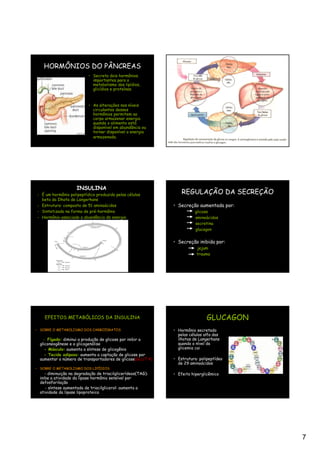 HORMÔNIOS DO PÂNCREAS
                           • Secreta dois hormônios
                             importantes para o
                             metabolismo dos lipídios,
                             glicídios e proteínas.


                           • As alterações nos níveis
                             circulantes desses
                             hormônios permitem ao
                             corpo armazenar energia
                             quando o alimento está
                             disponível em abundância ou
                             tornar disponível a energia
                             armazenada.




                     INSULINA
- É um hormônio polipeptídico produzido pelas células             REGULAÇÃO DA SECREÇÃO
  beta da Ilhota de Langerhans
- Estrutura: composto de 51 aminoácidos                       • Secreção aumentada por:
- Sintetizado na forma de pré-hormônio                                   glicose
- Hormônio associado a abundância de energia                             aminoácidos
                                                                         secretina
                                                                         glucagon


                                                              • Secreção inibida por:
                                                                          jejum
                                                                          trauma




    EFEITOS METABÓLICOS DA INSULINA                                            GLUCAGON
• SOBRE O METABOLISMO DOS CARBOIDRATOS                        • Hormônio secretado
                                                                pelas células alfa das
    - Fígado: diminui a produção de glicose por inibir a        ilhotas de Langerhans
  gliconeogênese e a glicogenólise                              quando o nível da
     - Músculo: aumenta a síntese de glicogênio                 glicemia cai
     - Tecido adiposo: aumenta a captação de glicose por
  aumentar o número de transportadores de glicose(GLUT 4)     • Estrutura: polipeptídeo
                                                                de 29 aminoácidos
• SOBRE O METABOLISMO DOS LIPÍDIOS
     - diminuição na degradação de triacilglicerídeos(TAG):   • Efeito hiperglicêmico
  inibe a atividade da lipase hormônio sensível por
  defosforilação
     - síntese aumentada de triacilglicerol: aumenta a
  atividade da lipase lipoproteica




                                                                                          7
 
