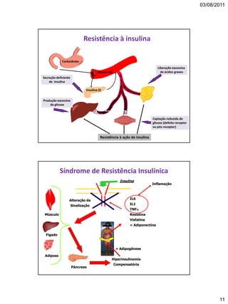 03/08/2011
11
Resistência à insulina
Glicose (G)
Insulina (I)
I
I
Secreção deficiente
de insulina
Liberação excessiva
de ácidos graxos
Captação reduzida de
glicose (defeito receptor
ou pós-receptor)
Produção excessiva
de glicose
Resistência à ação da insulina
Carboidrato
Síndrome de Resistência Insulínica
Insulina
Músculo
Fígado
Adiposo
Pâncreas
Hiperinsulinemia
Compensatória
+ Adipogênese
Alteração da
Sinalização
IL6
IL1
TNF
Resistina
Visfatina
< Adiponectina
Inflamação
 