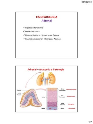 03/08/2011
27
FISIOPATOLOGIA
Adrenal
 Hiperaldosteronismo
 Feocromocitoma
 Hipercortisolismo - Síndrome de Cushing
 Insuficiência adrenal – Doença de Addison
Mineralocorticóides
Glicocorticóides
Androgênios
Catecolaminas
Adrenal – Anatomia e histologia
 