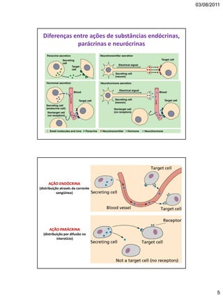 03/08/2011
5
Diferenças entre ações de substâncias endócrinas,
parácrinas e neurócrinas
AÇÃO ENDÓCRINA
(distribuição através da corrente
sangüínea)
AÇÃO PARÁCRINA
(distribuição por difusão no
interstício)
 