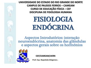 FISIOLOGIA
ENDÓCRINA
Aspectos Introdutórios: interação
neuroendócrina, anatomia das glândulas
e aspectos gerais sobre os hormônios
UNIVERSIDADE DO ESTADO DO RIO GRANDE DO NORTE
CAMPUS DE PAUDOS FERROS – CAMEAM
CURSO DE EDUCAÇÃO FÍSICA – CEF
DISCIPLINA DE FISIOLOGIA HUMANA
CEF/CAMEAM/UERN
Prof. Esp. Napoleão Diógenes:.
 