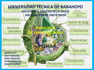 UNIVERSIDAD TECNICA DE BABAHOYO
FACULTAD DE CIENCIAS DE LA SALUD
3ER SEMESTRE DE OBSTETRICIA
FISIOLOGIA
DR. FREDDY ARCINIEGA
LA CELULA
GRUPO Nº 4
IVETT HUACON
MERY MORALES
JEYMY MOREJON
DENISSE MUÑOZ
 