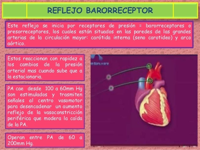 Imagen relacionada
