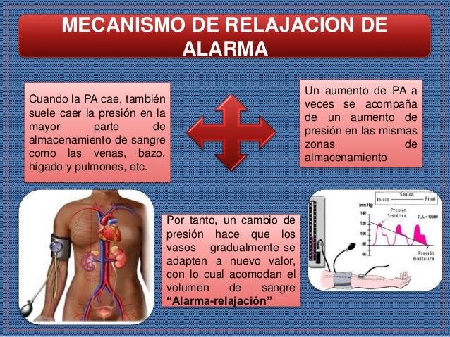 MECANISMOS INTERMEDIOS DE REGULACIÓN DE LA PRESIÓN ARTERIAL