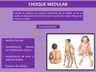 CHOQUE MEDULAR
Cuando se produce una sección transversal de la medula se da un
estado de depresión funcional de toda la parte del cuerpo debajo del
nivel de la lesión.
Se caracteriza por:
• Parálisis fláccida.
• Vasodilatación intensa
con hipotensión arterial.
• Incontinencia de orina y
materias fecales.
• Ausencia de reflejos.
 