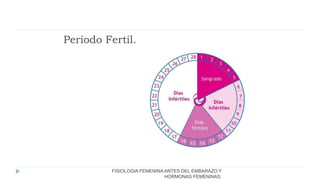 Periodo Fertil.
FISIOLOGIA FEMENINA ANTES DEL EMBARAZO Y
HORMONAS FEMENINAS.
 