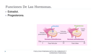 Funciones De Las Hormonas.
FISIOLOGIA FEMENINA ANTES DEL EMBARAZO Y
HORMONAS FEMENINAS.
 Estradiol.
 Progesterona.
 