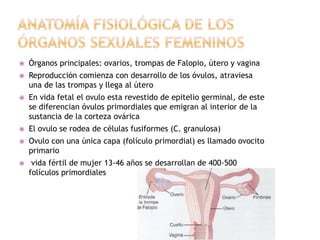  Órganos principales: ovarios, trompas de Falopio, útero y vagina 
 Reproducción comienza con desarrollo de los óvulos, atraviesa 
una de las trompas y llega al útero 
 En vida fetal el ovulo esta revestido de epitelio germinal, de este 
se diferencian óvulos primordiales que emigran al interior de la 
sustancia de la corteza ovárica 
 El ovulo se rodea de células fusiformes (C. granulosa) 
 Ovulo con una única capa (folículo primordial) es llamado ovocito 
primario 
 vida fértil de mujer 13-46 años se desarrollan de 400-500 
folículos primordiales 
 