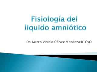 Dr. Marco Vinicio Gálvez Mendoza R1GyO
 