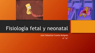 Fisiología fetal y neonatal
Juan Sebastian Canela Molgado
4º “A”
 