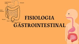 FISIOLOGIA
GASTROINTESTINAL
 