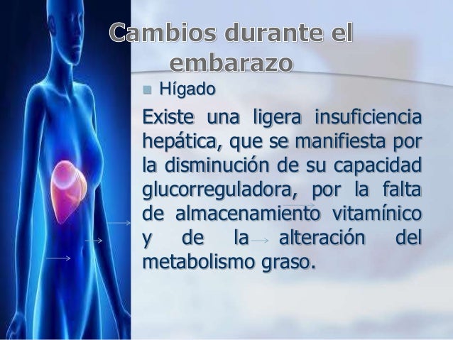Cambios Fisiologicos En El Embarazo Sistema Gastrointestinal