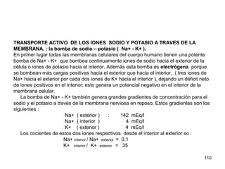 110
TRANSPORTE ACTIVO DE LOS IONES SODIO Y POTASIO A TRAVES DE LA
MEMBRANA. : la bomba de sodio – potasio ( Na+ - K+ ).
En primer lugar todas las membranas celulares del cuerpo humano tienen una potente
bomba de Na+ - K+ que bombea continuamente iones de sodio hacia el exterior de la
célula o iones de potasio hacia el interior. Además esta bomba es electrógena porque
se bombean más cargas positivas hacia el exterior que hacia el interior, ( tres iones de
Na+ hacia el exterior por cada dos iones de K+ hacia el interior ), dejando un déficit neto
de iones positivos en el interior; esto genera un potencial negativo en el interior de la
membrana celular.
La bomba de Na+ - K+ también genera grandes gradientes de concentración para el
sodio y el potasio a través de la membrana nerviosa en reposo. Estos gradientes son los
siguientes :
Na+ ( exterior ) : 142 mEq/l
Na+ ( interior ) 4 mEq/l
K+ ( exterior ) 4 mEq/l
Los cocientes de estos dos iones respectivos desde el interior al exterior so :
Na+ interior / Na+ exterior = 0.1
K+ interior / K+ exterior = 35
 