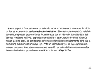 153
A esta segunda fase, en la cual un estímulo supraumbral vuelve a ser capaz de iniciar
un PA, se le denomina período refractario relativo. Si el estímulo se continúa indefini-
damente, se pueden producir varios PA separados por un intervalo equivalente al del
período refractario relativo. Supóngase ahora que el estímulo fuese de una magnitud
mayor. En este caso, las condiciones adversas no tendrán que mejorar tanto para que la
membrana pueda iniciar un nuevo PA. Ante un estímulo mayor, los PA ocurrirán a in-
térvalos menores. Cuando se produce una sucesión de potenciales de acción con alta
frecuencia de descarga, se habla de un tren o de una ráfaga de PA.
 