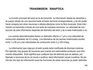 169
TRANSMISION SINAPTICA
La función principal del axón es la de transmitir la información desde las dendritas y
el cuerpo celular de una neurona hasta el botón terminal correspondiente, y de ahí poder
hacer sinapsis con otras neuronas o células efectoras como la fibra muscular. Esta infor-
mación se transmite a través de una serie de impulsos nerviosos. La velocidad de con-
ducción de esta información depende del diámetro del axón y de si está mielinizado o no.
Los axones desmielinizados tienen un diámetro inferior a 1 µm y una velocidad de
conducción alrededor de 2.5 m/seg . Los diámetros de los axones mielinizados oscilan
entre 1 y 20 µm y las velocidades de conducción entre 3 y 120 m/seg.
La información que viaja por el axón puede estar codificada de diversas maneras.
Por ejemplo; hay grupos de neuronas que cuando son estimuladas producen una infor-
mación etiquetada. Esto significa que cualquier tipo de estímulo que se aplique, por
Ejemplo a neuronas de la vía visual o auditiva, dará información visual o auditiva. No po-
drá dar otro tipo de información pues las funciones de estas neuronas ya están definidas.
 