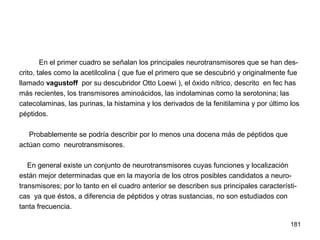 181
En el primer cuadro se señalan los principales neurotransmisores que se han des-
crito, tales como la acetilcolina ( que fue el primero que se descubrió y originalmente fue
llamado vagustoff por su descubridor Otto Loewi ), el óxido nítrico, descrito en fec has
más recientes, los transmisores aminoácidos, las indolaminas como la serotonina; las
catecolaminas, las purinas, la histamina y los derivados de la fenitilamina y por último los
péptidos.
Probablemente se podría describir por lo menos una docena más de péptidos que
actúan como neurotransmisores.
En general existe un conjunto de neurotransmisores cuyas funciones y localización
están mejor determinadas que en la mayoría de los otros posibles candidatos a neuro-
transmisores; por lo tanto en el cuadro anterior se describen sus principales característi-
cas ya que éstos, a diferencia de péptidos y otras sustancias, no son estudiados con
tanta frecuencia.
 