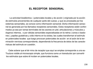 238
EL RECEPTOR SENSORIAL
La actividad bioeléctrica ( potenciales locales y de acción ) originada por la acción
de estímulos provenientes de cualquier parte del cuerpo, y que es procesada por los
sistemas sensoriales, se conoce como información sensorial. Dicha información senso-
rial es generada por los llamados receptores sensoriales. Estos receptores están confor-
mados ya sea por ramas terminales de los axones en piel, articulaciones y músculos y
órganos internos, o por células sensoriales especializadas en la retina ( conos o basto-
nes ), papilas gustativas y oído interno en la cóclea, las cuales transforman el estímulo
en potenciales locales que luego provocan potenciales de acción en el axón de la ter-
minación nerviosa correspondiente, dependiendo la frecuencia de éstos de las caracte-
rísticas del estímulo en cuestión.
Cabe aclarar que el tér mino de receptor que aquí se emplea corresponde a una es-
Tructura visible al microscopio simple, que funciona como un transductor por convertir
los estímulos que sobre él inciden en potenciales locales.
 