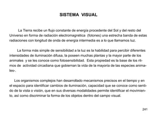 241
SISTEMA VISUAL
La Tierra recibe un flujo constante de energía procedente del Sol y del resto del
Universo en forma de radiación electromagnética (fotones) una estrecha banda de estas
radiaciones con longitud de onda de energía intermedia es a lo que llamamos luz.
La forma más simple de sensibilidad a la luz es la habilidad para percibir diferentes
intensidades de iluminación difusa, la poseen muchas plantas y la mayor parte de los
animales y se les conoce como fotosensibilidad. Esta propiedad es la base de los rit-
mos de actividad circadiana que gobiernan la vida de la mayoría de las especies anima-
les-.
Los organismos complejos han desarrollado mecanismos precisos en el tiempo y en
el espacio para identificar cambios de iluminación, capacidad que se conoce como senti-
do de la vista o visión, que en sus diversas modalidades permite identificar el movimien-
to, así como discriminar la forma de los objetos dentro del campo visual.
 