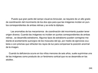 246
Puesto que gran parte del campo visual es binocular, se requiere de un alto grado
de coordinación del movimiento de los dos ojos para que las imágenes incidan en pun-
tos correspondientes de ambas retinas y se evite la diplopia.
Las anomalías de los mecanismos de coordinación del movimiento pueden tener
origen diverso. Cuando las imágenes no inciden en puntos correspondientes de ambas
retinas , se desarrolla estrabismo. Algunos tipos de estrabismo pueden corregirse me-
diante el acortamiento quirúrgico de los músculos del ojo, por medio de ejercicios ocu-
lares o con prismas que refracten los rayos de luz para compensar la posición anormal
de la imagen.
Cuando la deficiencia ocurre en los niños menores de seis años, suele suprimirse una
de las imágenes como producto de un fenómeno cortical que no se desarrolla en los
adultos .
 
