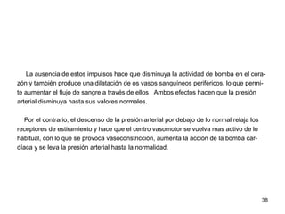 38
La ausencia de estos impulsos hace que disminuya la actividad de bomba en el cora-
zón y también produce una dilatación de os vasos sanguíneos periféricos, lo que permi-
te aumentar el flujo de sangre a través de ellos Ambos efectos hacen que la presión
arterial disminuya hasta sus valores normales.
Por el contrario, el descenso de la presión arterial por debajo de lo normal relaja los
receptores de estiramiento y hace que el centro vasomotor se vuelva mas activo de lo
habitual, con lo que se provoca vasoconstricción, aumenta la acción de la bomba car-
díaca y se leva la presión arterial hasta la normalidad.
 