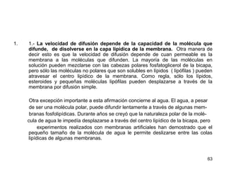63
1. 1.- La velocidad de difusión depende de la capacidad de la molécula que
difunde, de disolverse en la capa lipídica de la membrana. Otra manera de
decir esto es que la velocidad de difusión depende de cuan permeable es la
membrana a las moléculas que difunden. La mayoría de las moléculas en
solución pueden mezclarse con las cabezas polares fosfatoglicerol de la bicapa,
pero sólo las moléculas no polares que son solubles en lípidos ( lipófilas ) pueden
atravesar el centro lipídico de la membrana. Como regla, sólo los lípidos,
esteroides y pequeñas moléculas lipófilas pueden desplazarse a través de la
membrana por difusión simple.
Otra excepción importante a esta afirmación concierne al agua. El agua, a pesar
de ser una molécula polar, puede difundir lentamente a través de algunas mem-
branas fosfolipídicas. Durante años se creyó que la naturaleza polar de la molé-
cula de agua le impedía desplazarse a través del centro lipídico de la bicapa, pero
experimentos realizados con membranas artificiales han demostrado que el
pequeño tamaño de la molécula de agua le permite deslizarse entre las colas
lipídicas de algunas membranas.
 