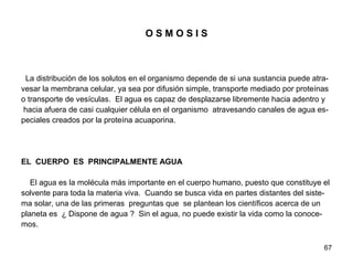 67
O S M O S I S
La distribución de los solutos en el organismo depende de si una sustancia puede atra-
vesar la membrana celular, ya sea por difusión simple, transporte mediado por proteínas
o transporte de vesículas. El agua es capaz de desplazarse libremente hacia adentro y
hacia afuera de casi cualquier célula en el organismo atravesando canales de agua es-
peciales creados por la proteína acuaporina.
EL CUERPO ES PRINCIPALMENTE AGUA
El agua es la molécula más importante en el cuerpo humano, puesto que constituye el
solvente para toda la materia viva. Cuando se busca vida en partes distantes del siste-
ma solar, una de las primeras preguntas que se plantean los científicos acerca de un
planeta es ¿ Dispone de agua ? Sin el agua, no puede existir la vida como la conoce-
mos.
 