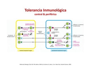 Fisiologia general de la respuesta inmune