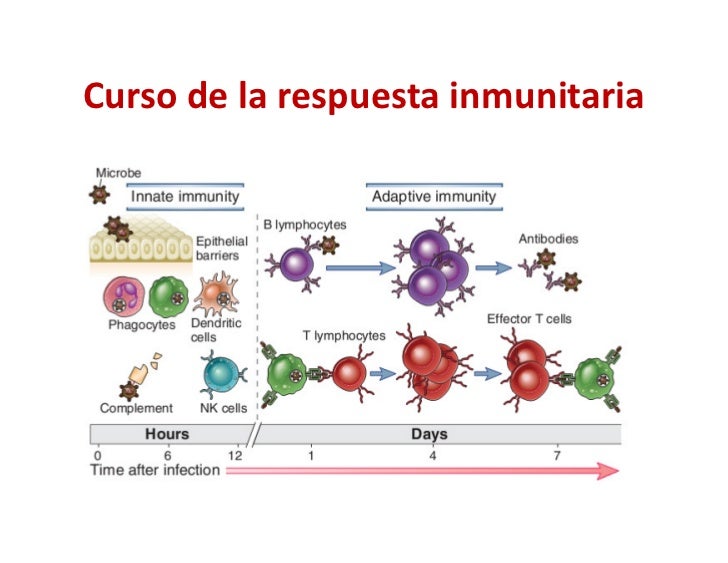 Fisiologia general de la respuesta inmune