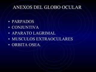 ANEXOS DEL GLOBO OCULAR PARPADOS CONJUNTIVA APARATO LAGRIMAL MUSCULOS EXTRAOCULARES ORBITA OSEA. 