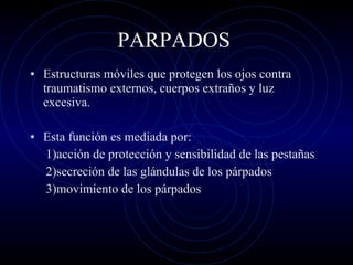 PARPADOS  Estructuras móviles que protegen los ojos contra traumatismo externos, cuerpos extraños y luz excesiva. Esta función es mediada por: 1)acción de protección y sensibilidad de las pestañas 2)secreción de las glándulas de los párpados 3)movimiento de los párpados 