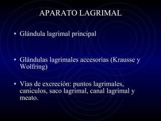 APARATO LAGRIMAL Glándula lagrimal principal Glándulas lagrimales accesorias (Krausse y Wolfring) Vías de excreción: puntos lagrimales, caniculos, saco lagrimal, canal lagrimal y meato.  