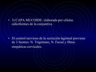 3) CAPA MUCOIDE: elaborada por células caliciformes de la conjuntiva. El control nervioso de la secreción lagrimal proviene de 3 fuentes: N. Trigémino, N. Facial y fibras simpáticas cervicales.   
