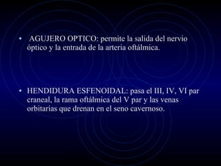 AGUJERO OPTICO: permite la salida del nervio óptico y la entrada de la arteria oftálmica. HENDIDURA ESFENOIDAL: pasa el III, IV, VI par craneal, la rama oftálmica del V par y las venas orbitarias que drenan en el seno cavernoso.  