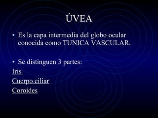 ÚVEA Es la capa intermedia del globo ocular conocida como TUNICA VASCULAR. Se distinguen 3 partes: Iris  Cuerpo ciliar Coroides 