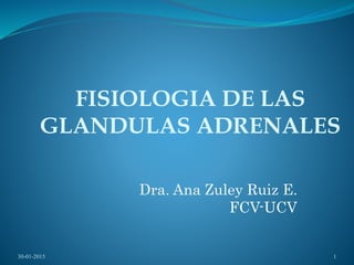 FISIOLOGIA DE LAS
GLANDULAS ADRENALES
Dra. Ana Zuley Ruiz E.
FCV-UCV
30-01-2015 1
 