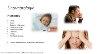 Sintomatologia
Humanos
• Febre;
• Tosse;
• Garganta inflamada;
• Corrimento nasal;
• Dores musculares;
• Cefaleias;
• Fadiga;
• Vómitos e diarreia.
• Complicações incluem: pneumonia e bronquite
Fonte: Centers for Disease Control and Prevention (http://www.cdc.gov/)
 