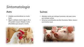 Sintomatologia
Aves
• Infeções assintomáticas ou muito
leves.
• Alguns subtipos (como alguns H5 e
H7) podem causar infeções muito
difundidas que causam a morte.
Suínos
• Afetados tanto por estirpes humanas e de aves como
por estirpes suínas.
• Sintomas semelhantes aos dos Humanos: febre, tosse e
corrimento nasal.
 