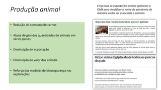 Produção animal
• Redução do consumo de carnes
• Abate de grandes quantidades de animais em
vários países
• Diminuição de exportação
• Diminuição do valor dos animais
• Reforço das medidas de biossegurança nas
explorações
Empresas de exportação animal apelaram à
OMS para modificar o nome da pandemia de
maneira a não ser associada a animais.
 