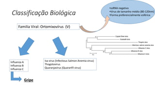 Classificação Biológica
Familia Viral: Ortomixovírus (V)
•ssRNA negativo
•Virus de tamanho médio (80-120nm)
•Forma preferencialmente esférica
Influenza A
Influenza B
Influenza C
Isa virus (Infectious Salmon Anemia virus)
Thogotovirus
Quaranjavirus (Quaranfil virus)
Gripe
 