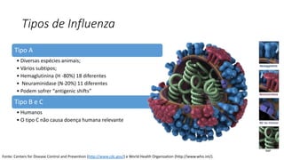 Tipo A
• Diversas espécies animais;
• Vários subtipos;
• Hemaglutinina (H -80%) 18 diferentes
• Neuraminidase (N-20%) 11 diferentes
• Podem sofrer “antigenic shifts”
Tipo B e C
• Humanos
• O tipo C não causa doença humana relevante
Fonte: Centers for Disease Control and Prevention (http://www.cdc.gov/) e World Health Organization (http://www.who.int/).
Tipos de Influenza
 