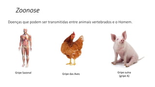 Doenças que podem ser transmitidas entre animais vertebrados e o Homem.
Gripe Sazonal Gripe das Aves
Gripe suína
(gripe A)
Zoonose
 
