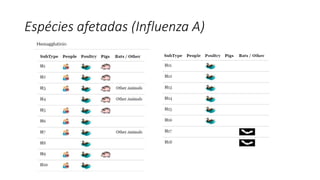 Espécies afetadas (Influenza A)
 