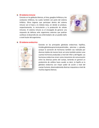 El sistema inmune
Consiste en los glóbulos blancos, el timo, ganglios linfáticos y los
conductos linfáticos, los cuales ta...